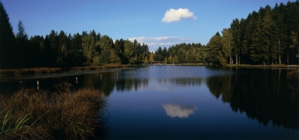 Отдых на озере Констанц - Германия