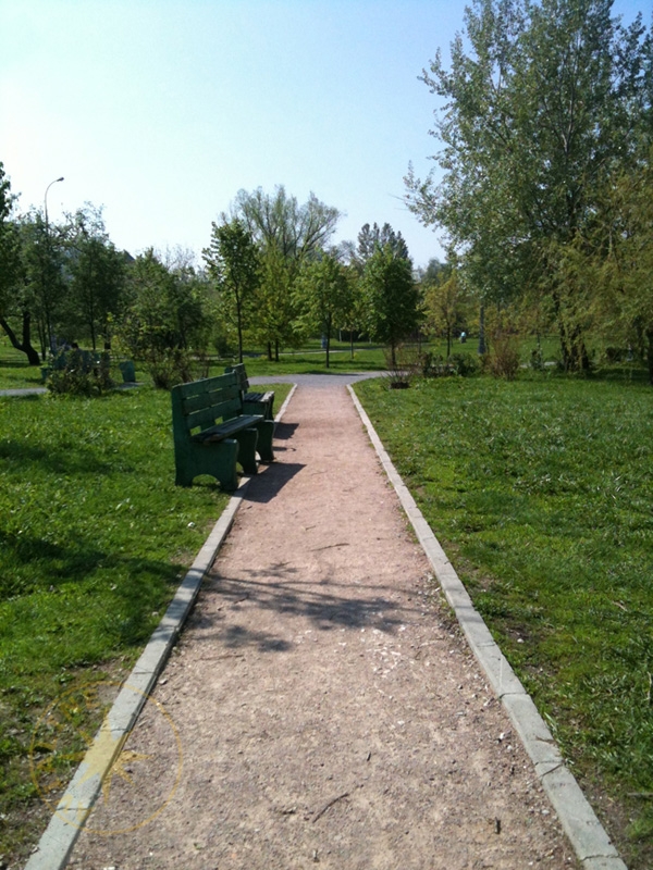 Аллея в парке возле большого озера - Россия