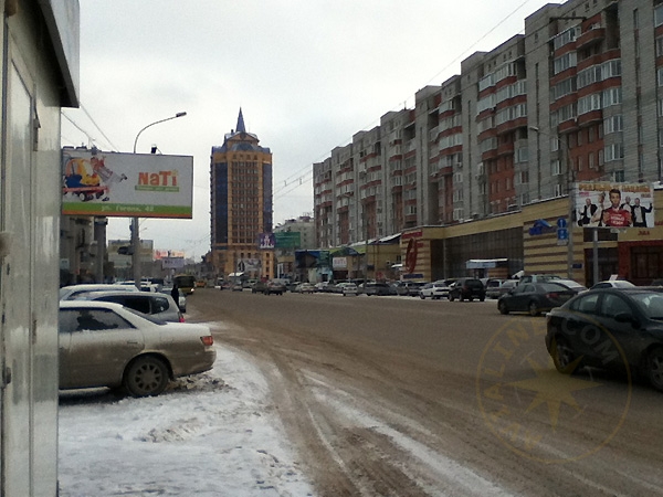 Березовая роща в Новосибирске - Россия