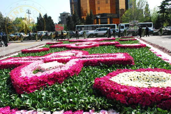 Композиции из цветов - фото весеннего города - Азербайджан