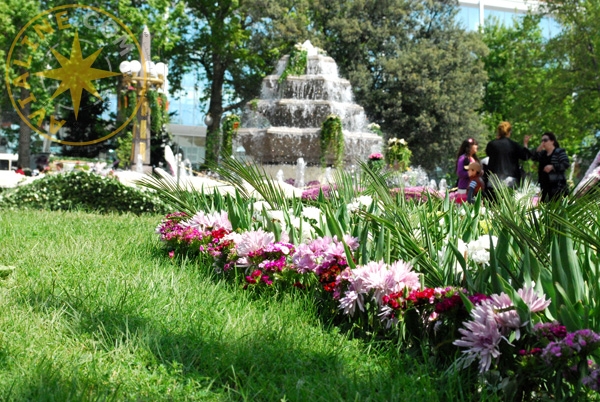 Клумба весенних цветов в городе - Азербайджан