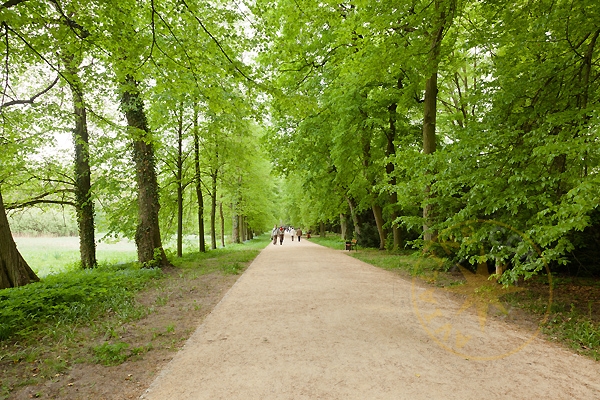 Лодзь - Ботанический сад Польши - Дендрарий - Польша